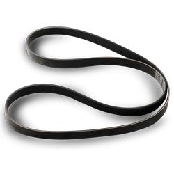 V Belt